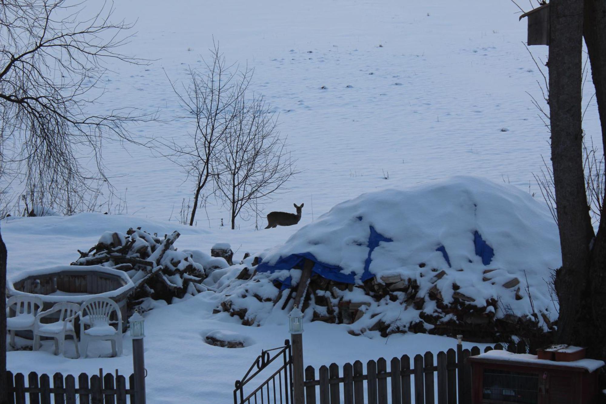 Affaeren Ma Bra Bed & Breakfast Sunne Bagian luar foto